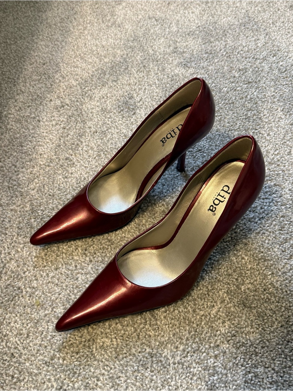 Diba Burgundy Pointed Toe Stiletto Pumps